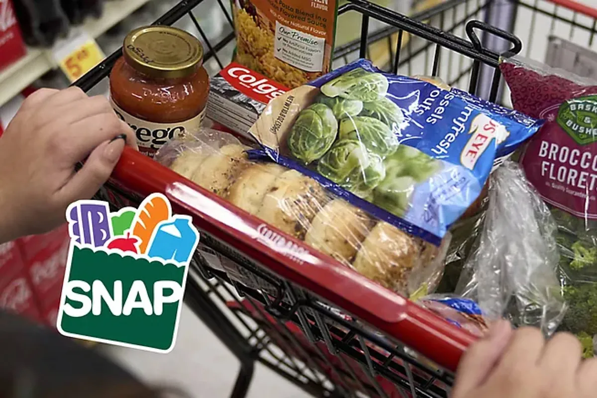 SNAP Texas April 2026: Exact dates to receive your benefits