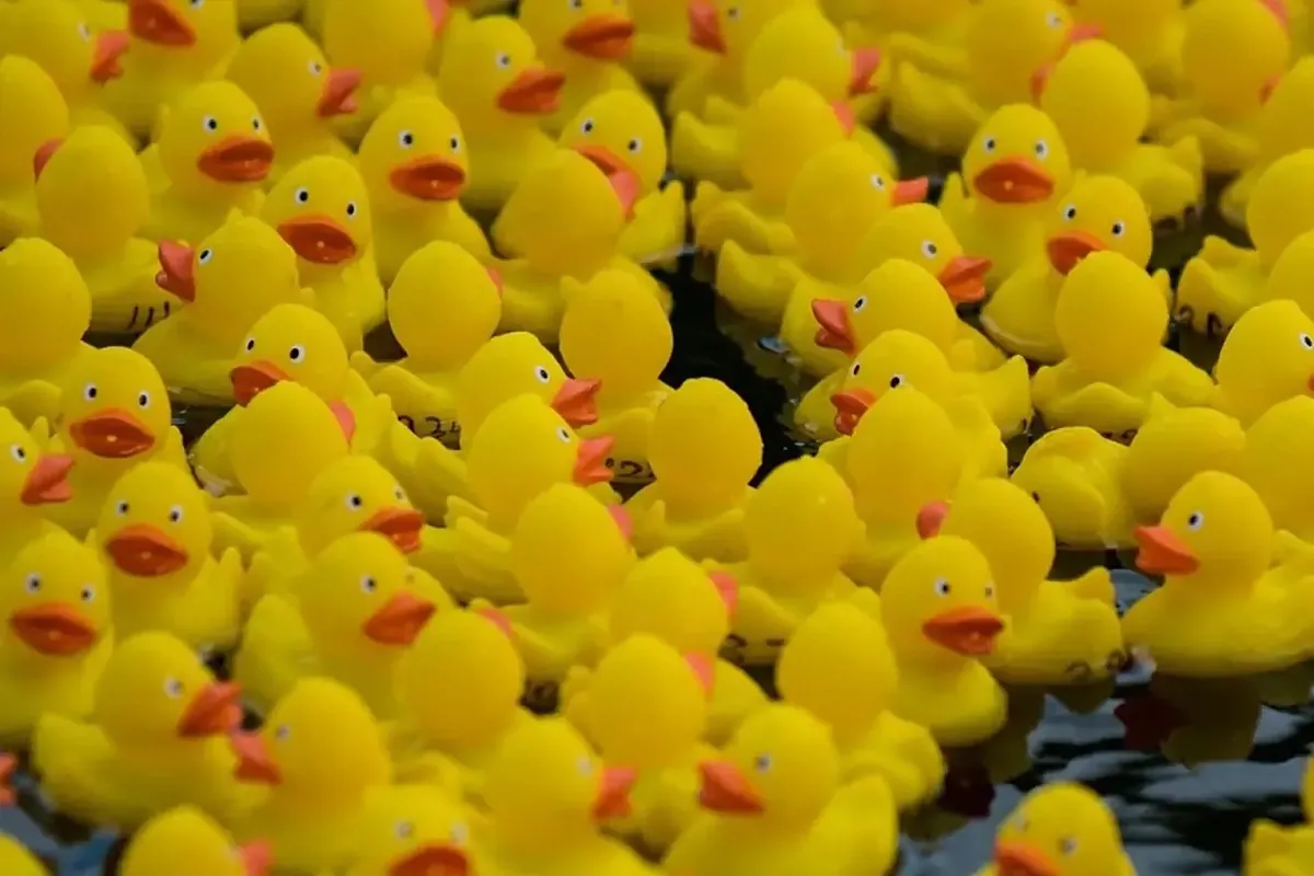 L.T. Lam cause of death: The creator of Hong Kong's beloved little yellow rubber duck dies at 105
