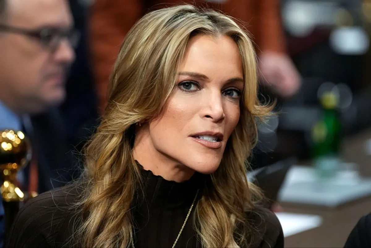 Fans slam Megyn Kelly, saying her career is over after her