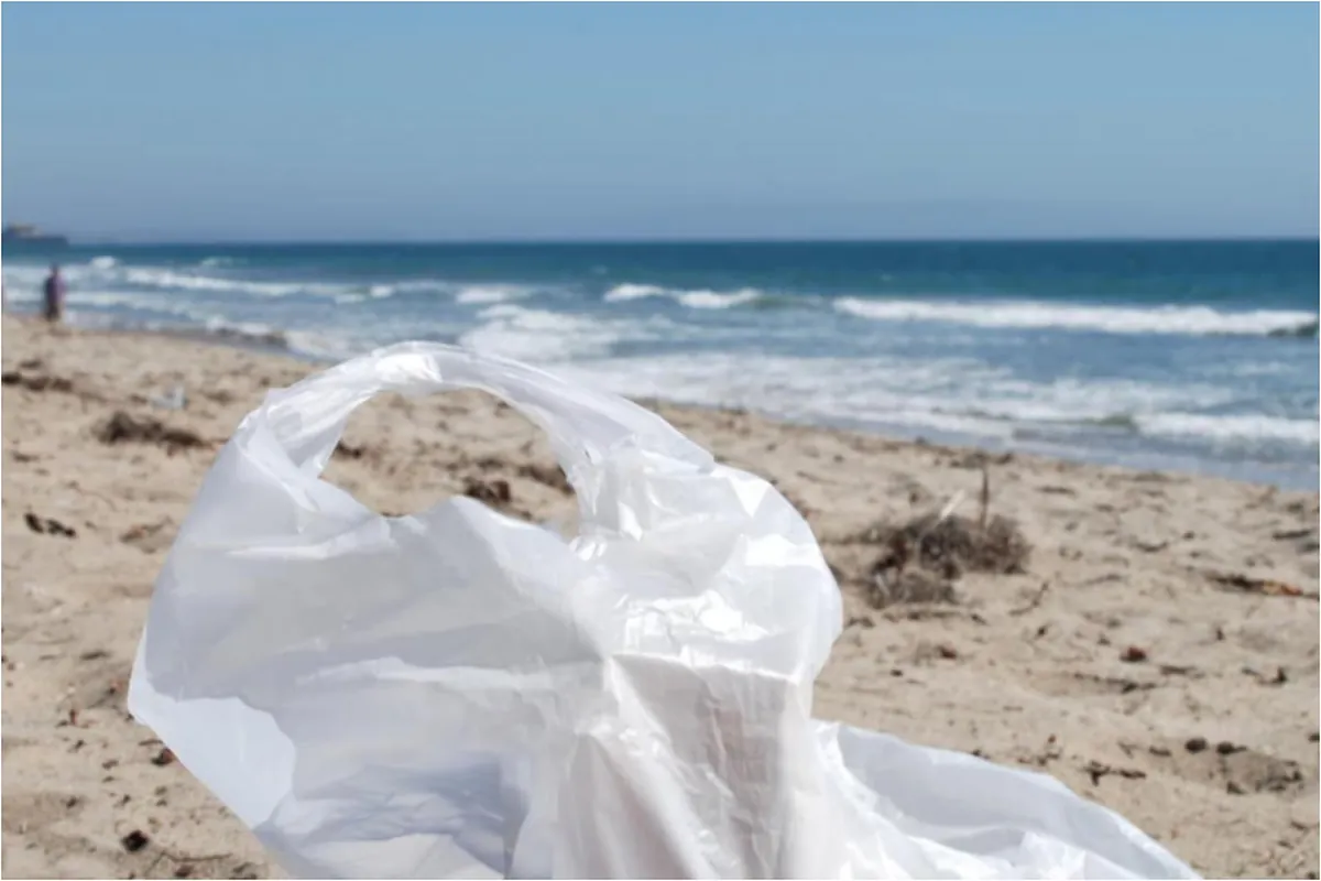 Science finally confirms it: one of the most controversial environmental  measures of recent years is yielding positive results | Marca, image size:1200x800