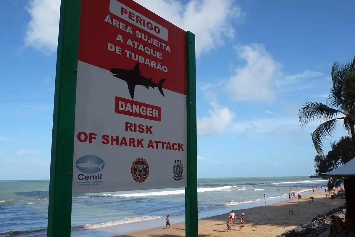 Woman, Tayane Dalazen, bitten by shark while diving in Brazil recounts ordeal