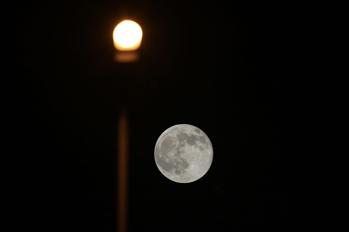 The Moon could soon become home to the human race if NASA's idea goes...