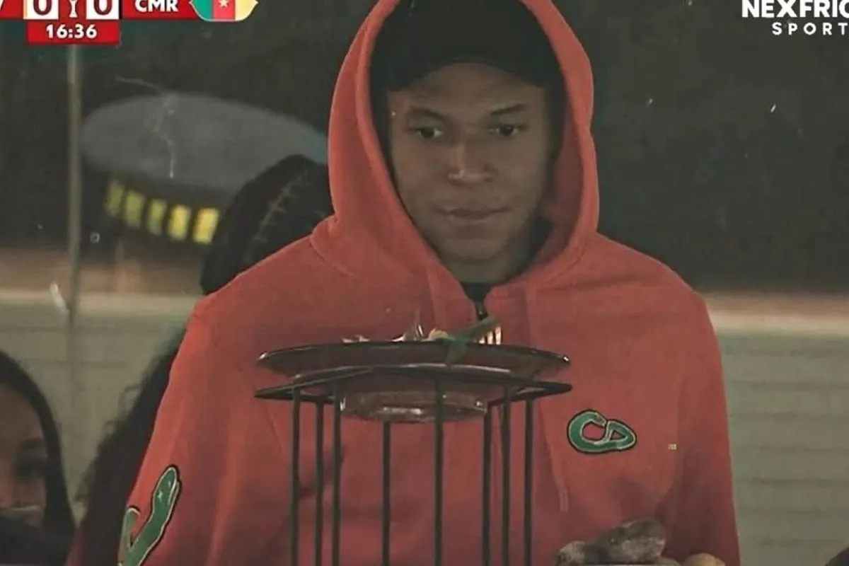 Mbappe appears at another African Cup match: watching 'his' Cameroon