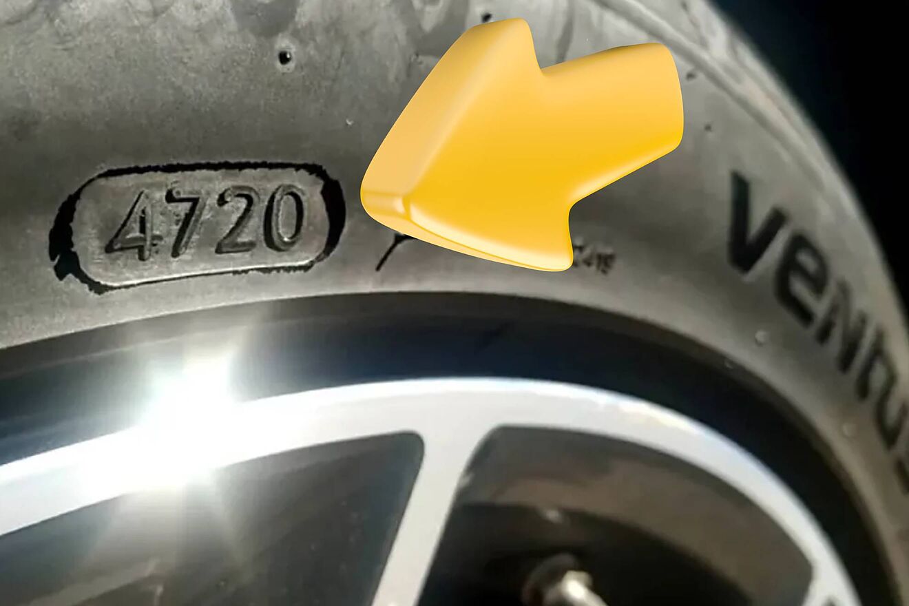 The key to its age is written on its outer flank.