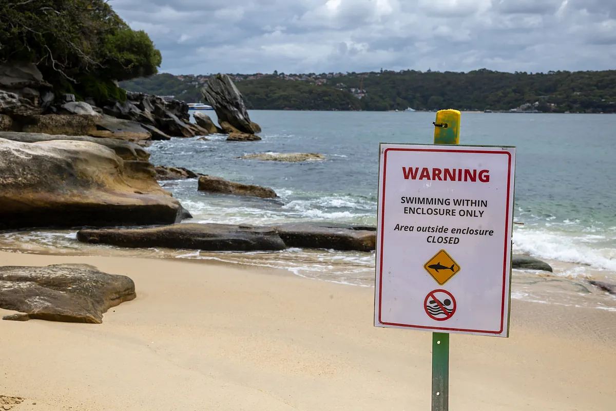Australia shark attack: Boy, 12, dies in tragic Sydney Harbour incident