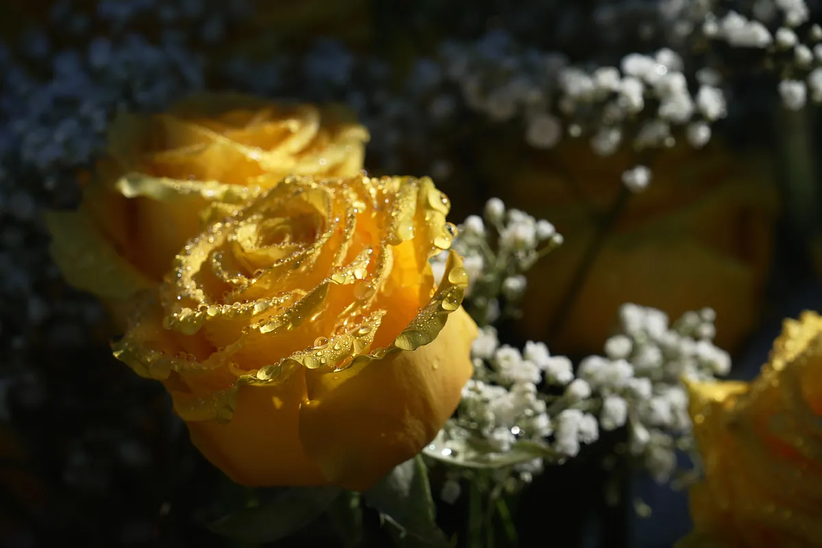 Savannah Guthrie suffers a second family tragedy with the disappearance of her mother Nancy