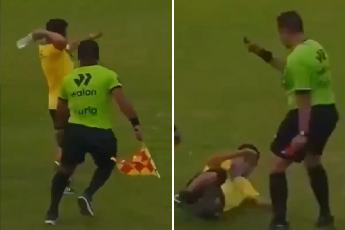 Referee throws karate kick after aggression during match
