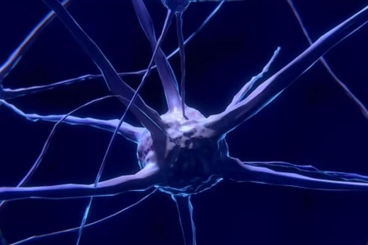 Scientific earthquake as cell research discovers 'third state' between life and death