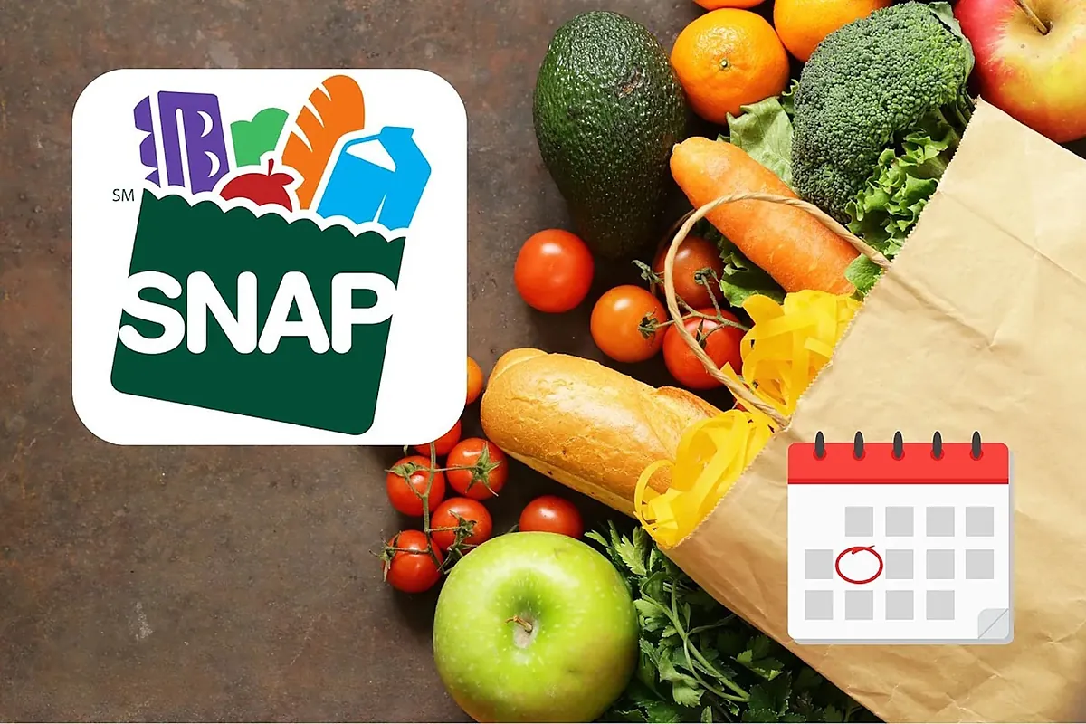 Who receives SNAP Florida payment between February 9 and 15, 2026?