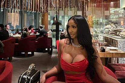Bernice Burgos is now being associated with NBA's Jaylen Brown, after Drake | Marca Bernice Burgos is now being associated with NBA's Jaylen Brown, after Drake | Marca