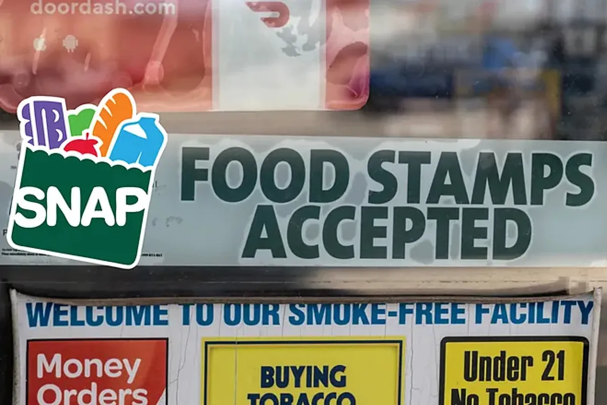 SNAP recertification December 2025: What to do to not lose your food stamps?