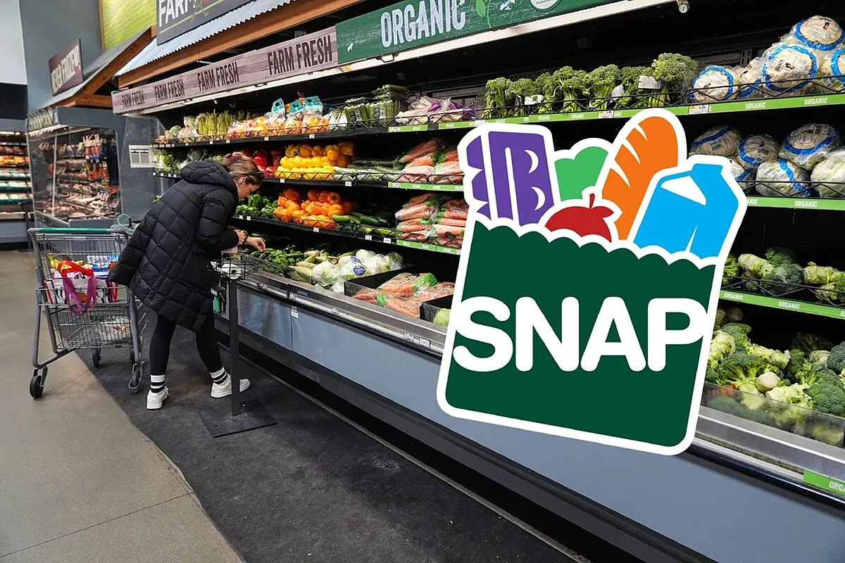 SNAP Texas recertification December 2025: What to do to start food stamp renewal?