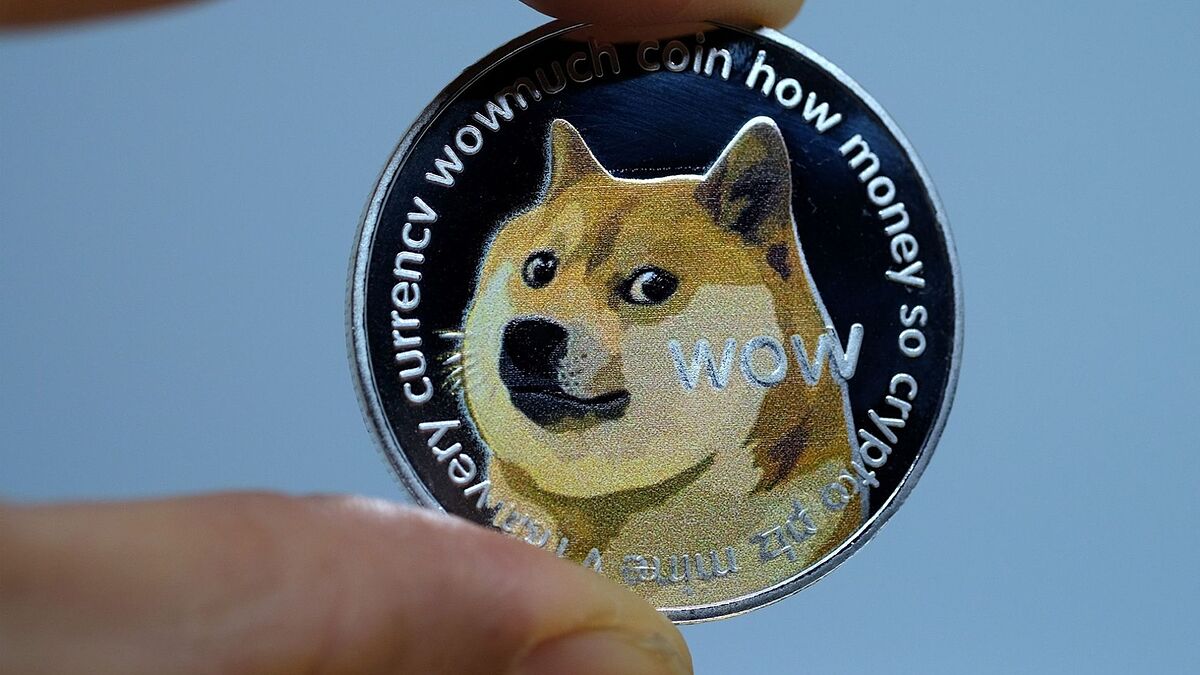 Shiba Inu vs Dogecoin: Which is the best cryptocurrency to buy in 2022? |  Marca