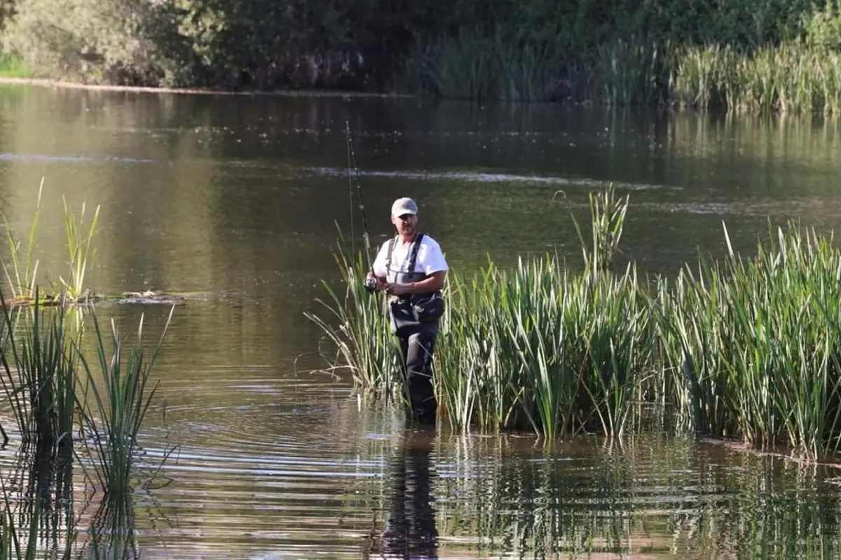 Fishermen find dinosaur-era fish in a Cuban swamp, and now biologists want to defy time to save them from extinction