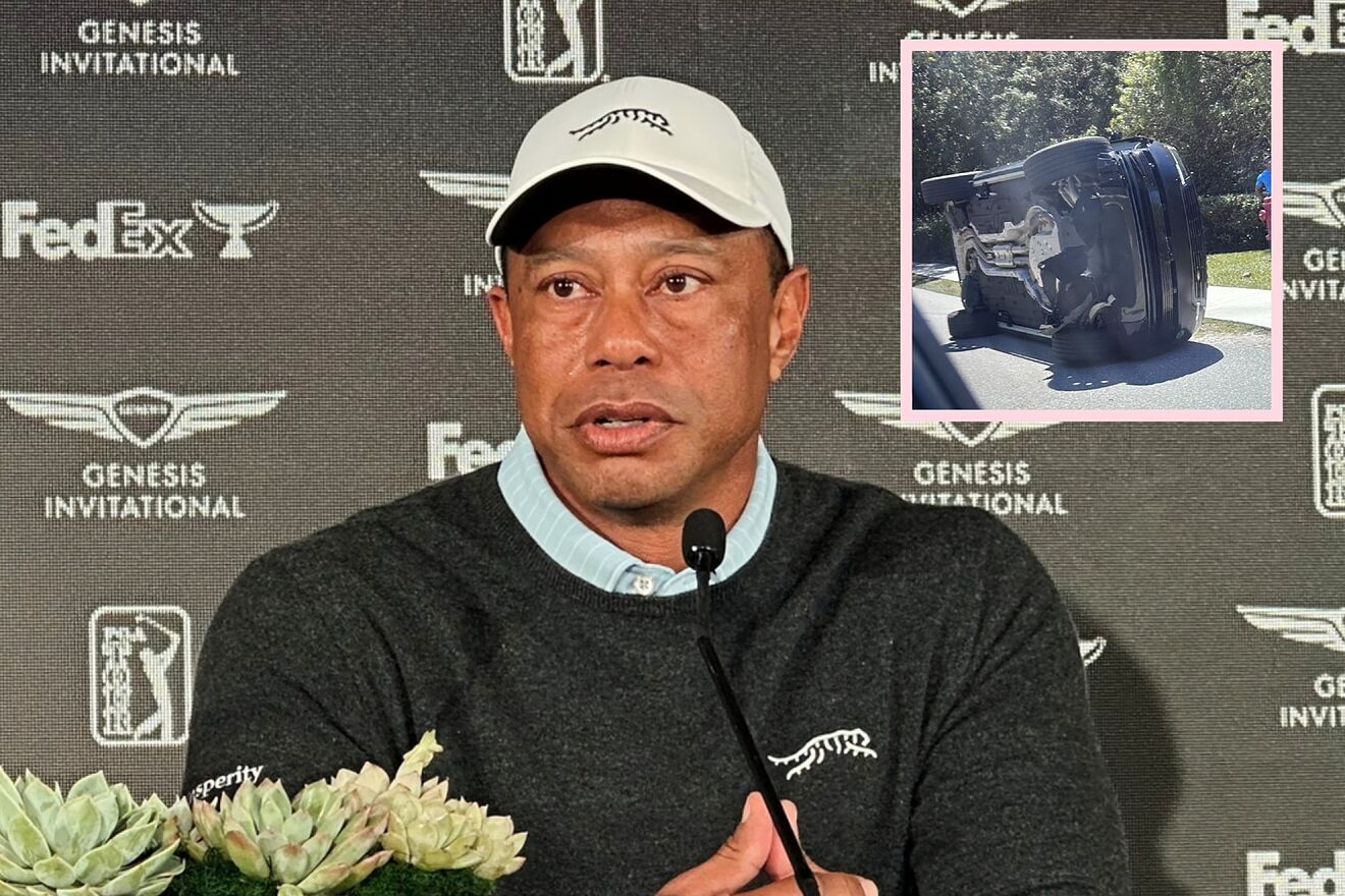 Tiger Woods faces DUI, property damage,and testrefusal.