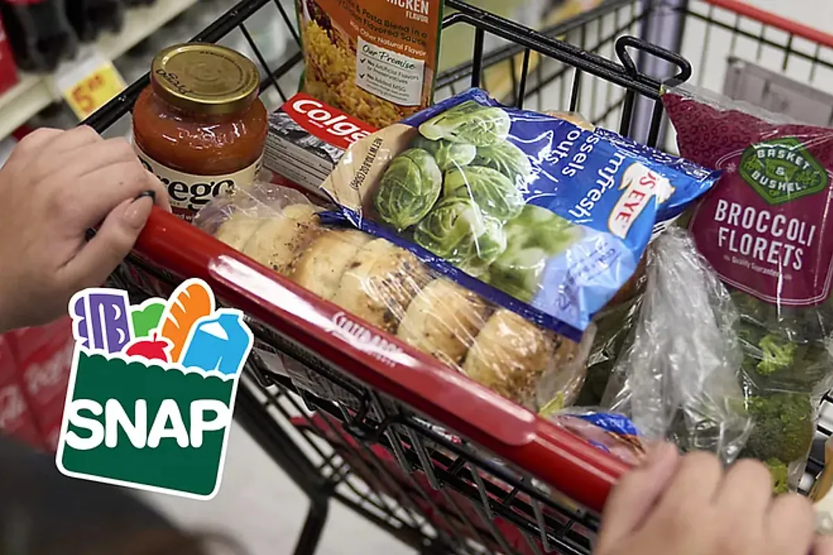 New SNAP requirements went into effect on December 1, 2025: Who is affected and how do they impact your food stamps?