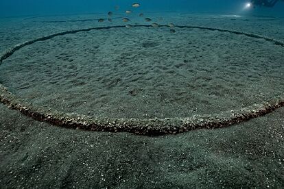 (min-width: 768px) 165px, 98px