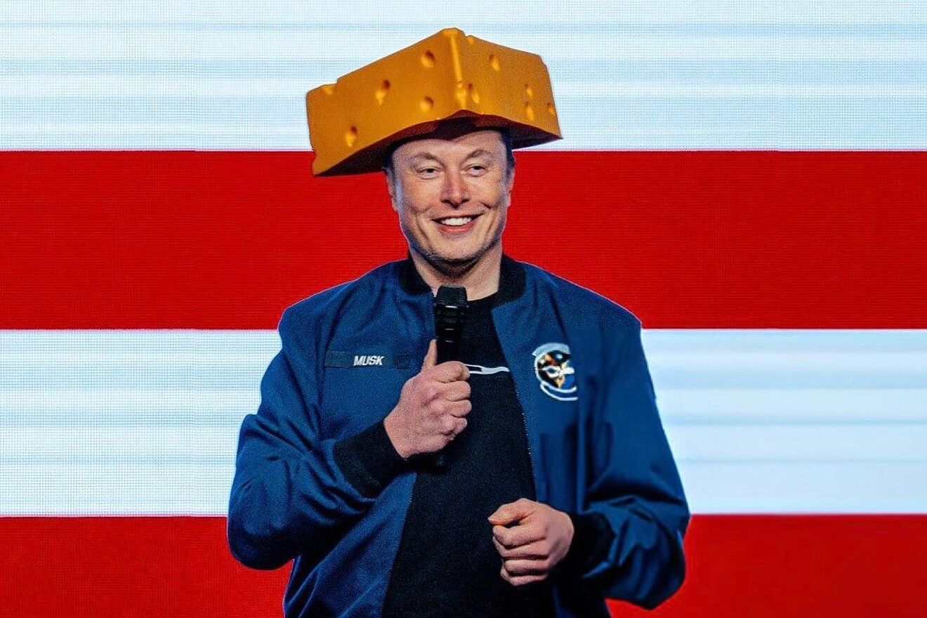 Brett Favre Reacts to Elon Musk's Packers Moment: "Get Him a Pigskin"