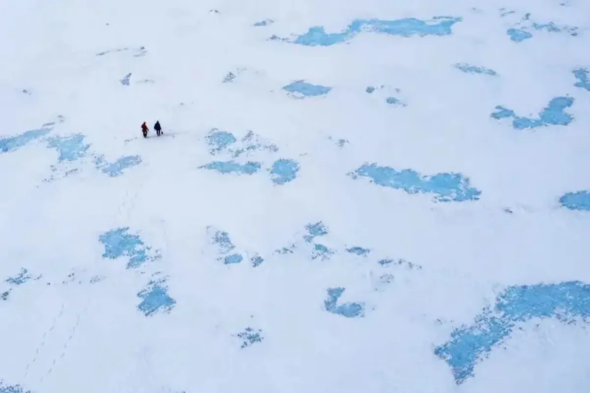 Alarm over the results of a climate change study: microbes that have been dormant for thousands of years could wake up and accelerate global warming