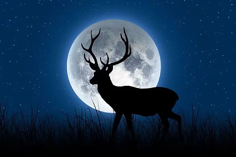 Full Moon July 2025