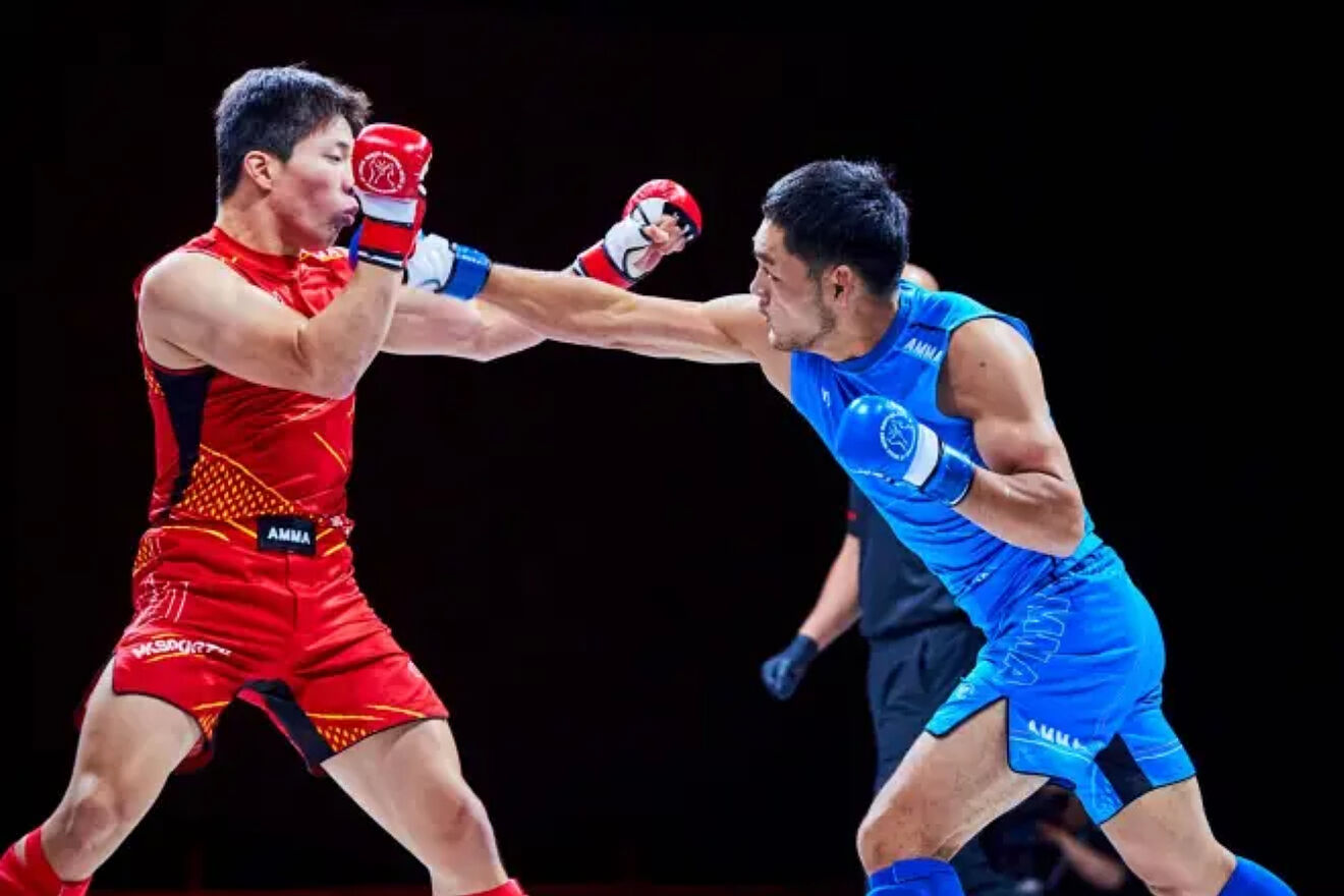 MMA, on its way to becoming an Olympic sport.