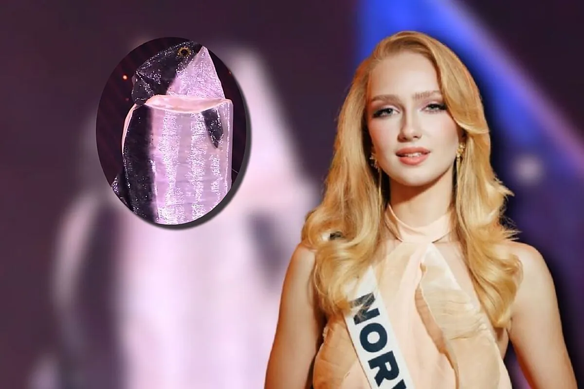 Who is Miss Norway, the woman who dressed up as a Norwegian salmon in the Miss Universe 2025 pageant?