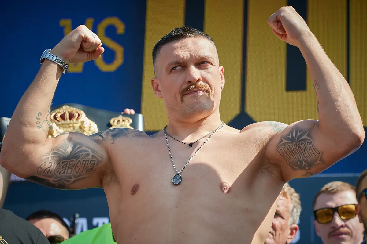 usyk net worth
