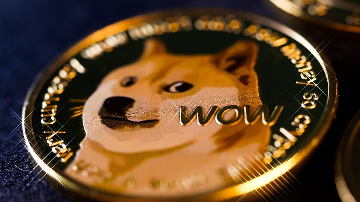 Shiba Inu and Dogecoin: What are meme coins? | Marca, image size:1200x675